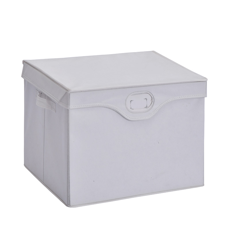Fabric Storage Boxes SK-SN017