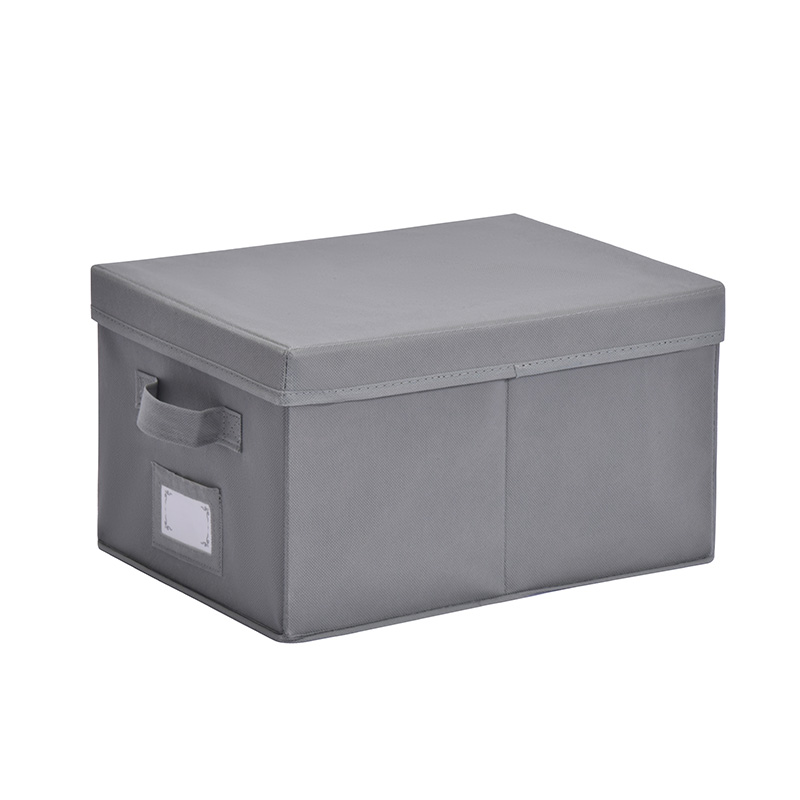 Fabric Storage Boxes SK-SN011